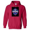 Heavy Blend™ Hooded Sweatshirt Thumbnail